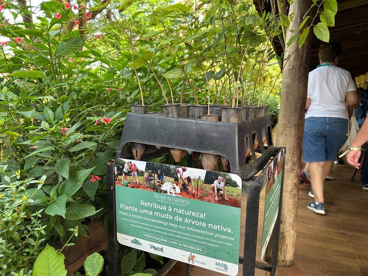 Tainara Dini, da Sakura, e Ana Paula Ramazzini, da Integração Trade