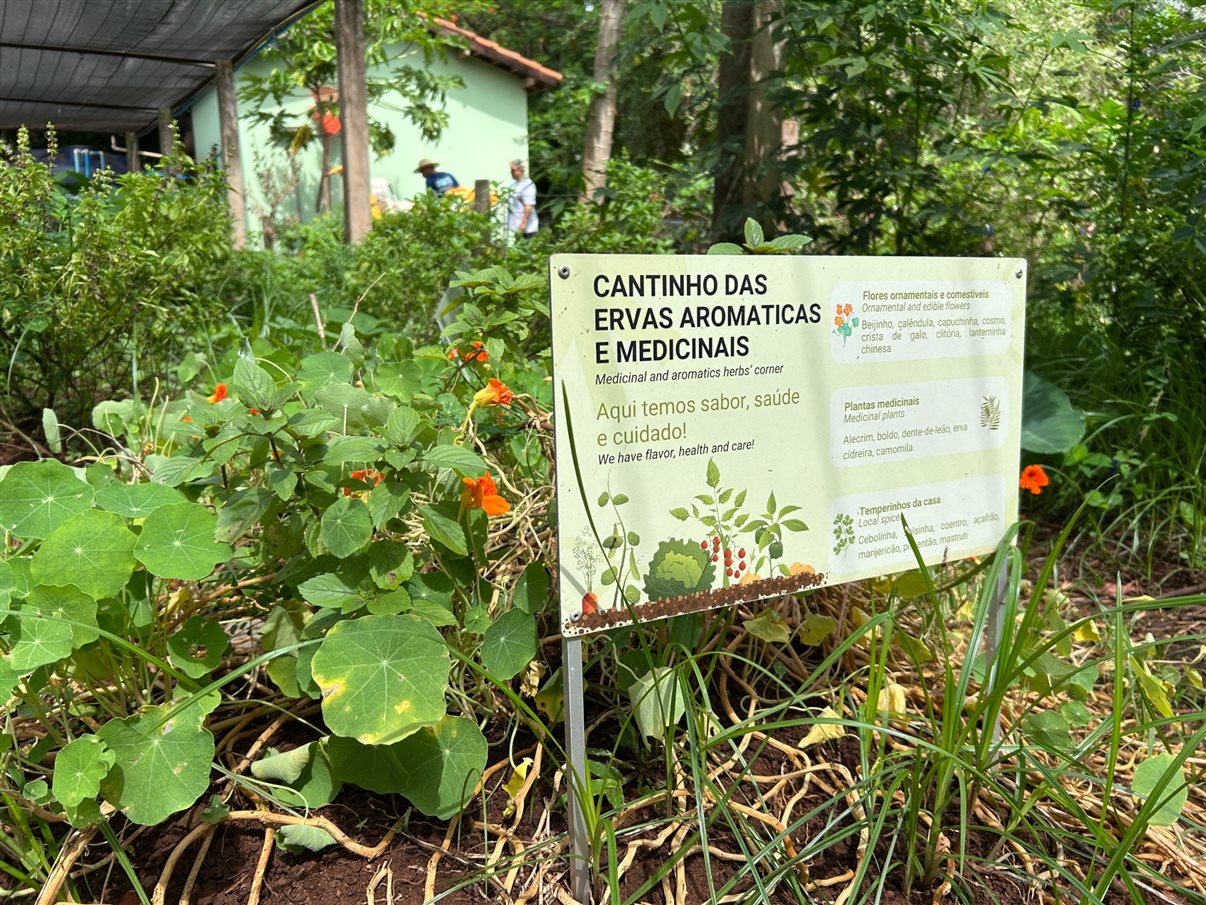 Tainara Dini, da Sakura, e Ana Paula Ramazzini, da Integração Trade