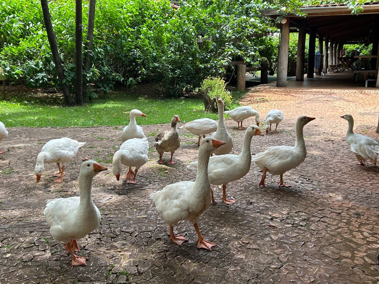 Tainara Dini, da Sakura, e Ana Paula Ramazzini, da Integração Trade