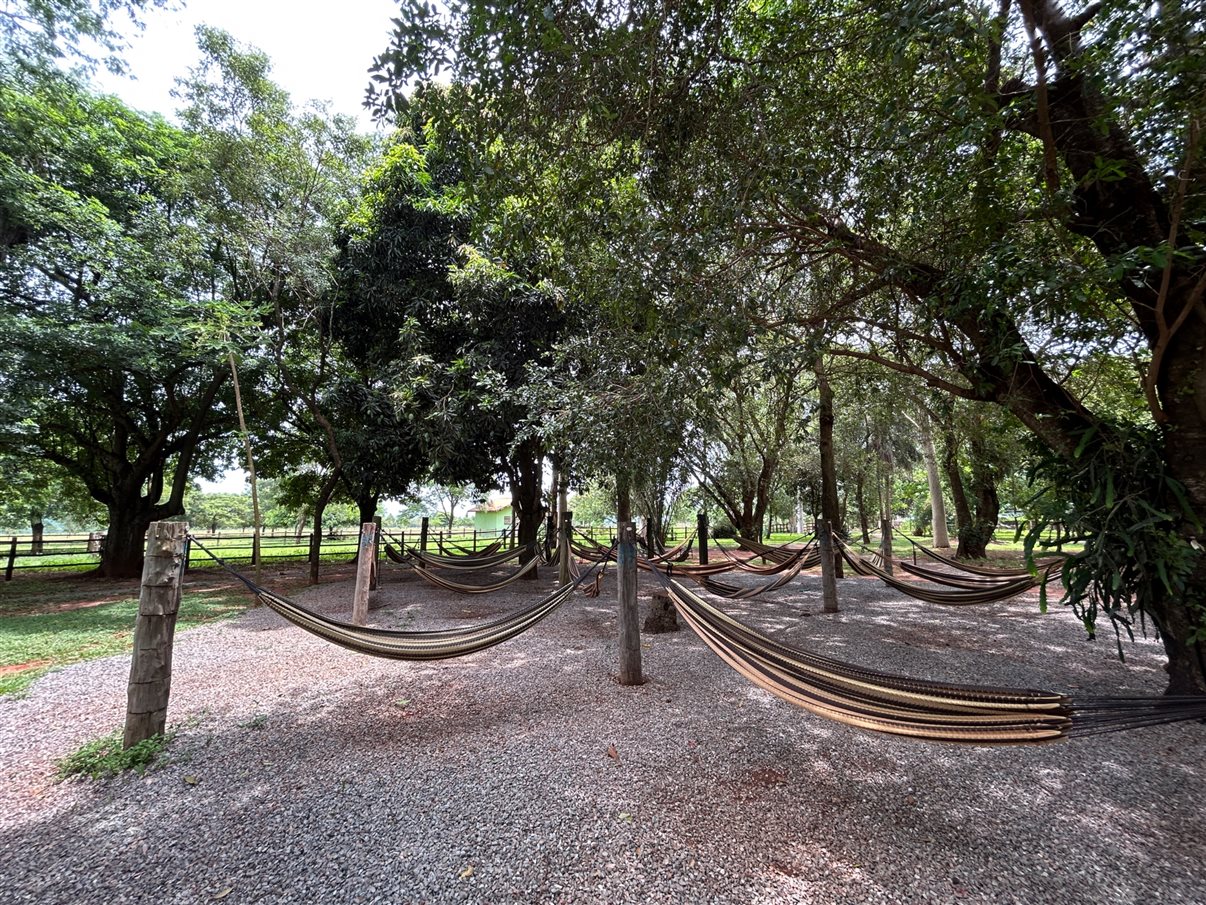 Tainara Dini, da Sakura, e Ana Paula Ramazzini, da Integração Trade