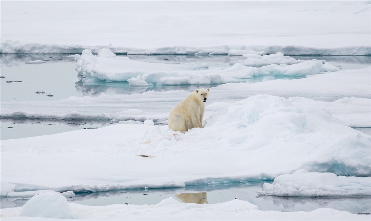 Para apoiar os agentes, a empresa disponibiliza um acervo completo de fotos e vídeos, que podem ser usados em campanhas de comunicação e marketing