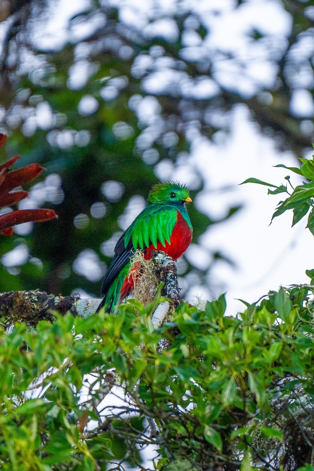 País oferece experiências únicas de contato com a natureza