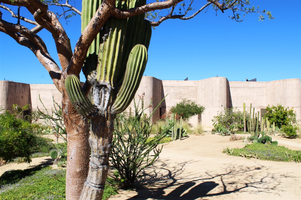 Fachada do Hotel Paradero Todos Santos