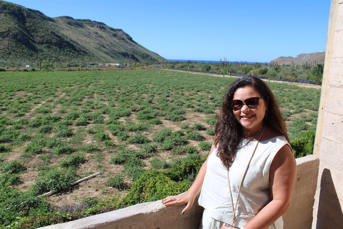 Fachada do Hotel Paradero Todos Santos