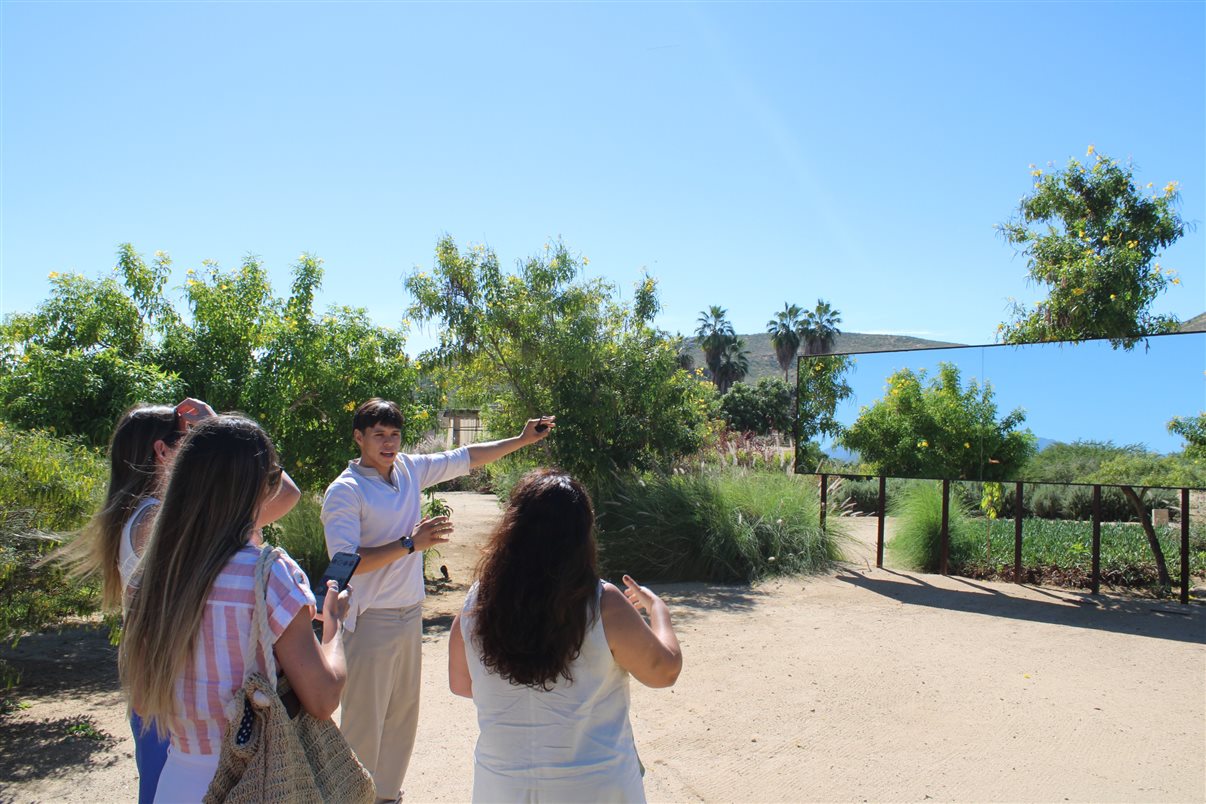 Fachada do Hotel Paradero Todos Santos