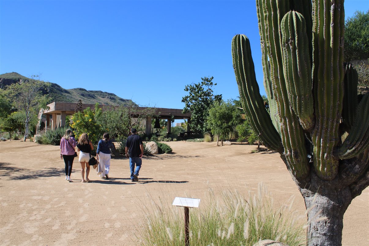 Fachada do Hotel Paradero Todos Santos