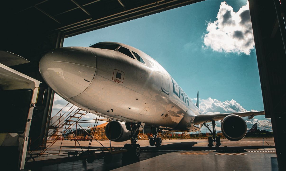 As colisões têm reflexo direto na operação aérea. A estimativa é de que cerca de 27 mil passageiros sejam afetados por ano em razão do cancelamento de aproximadamente 100 voos