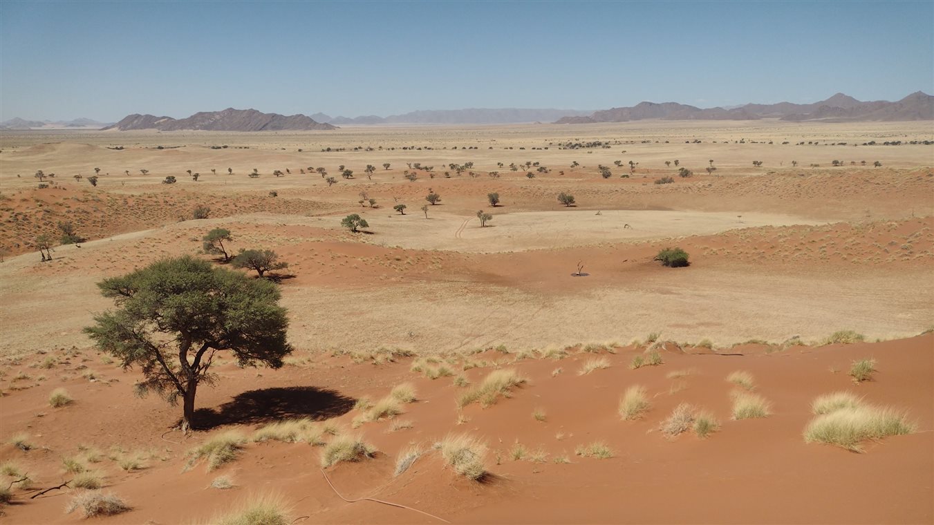 Paleta de cores de regi&atilde;o des&eacute;rtica do pa&iacute;s