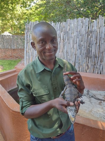 O guia August exibe filhote de crocodilo-do-nilo