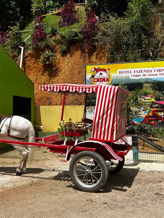 Passeio de charrete &eacute; uma op&ccedil;&atilde;o para crian&ccedil;as