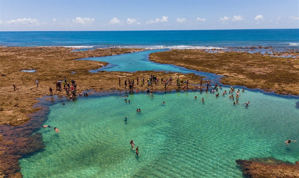 A partir do recebimento do auto, o estabelecimento poderá apresentar defesa administrativa