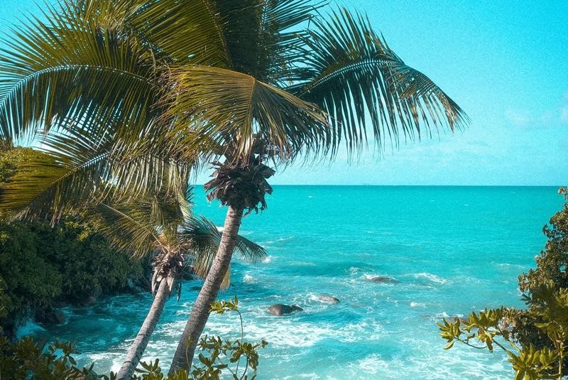 Fregate Island Private Resort