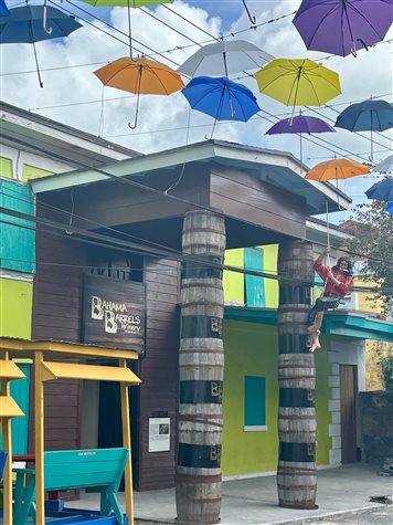 Um pirata de olho nos vinhos