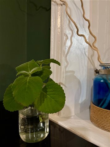 Detalhe da decora&ccedil;&atilde;o do restaurante