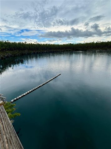Blue Hole National Pond, um dos 50 &ldquo;blue holes&rdquo; em Andros