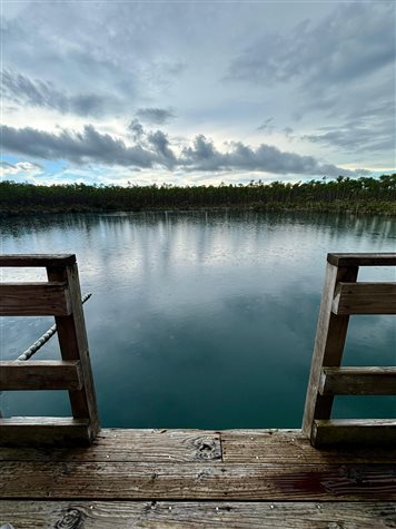 &Eacute; poss&iacute;vel mergulhar e nadar no po&ccedil;o no meio da floresta