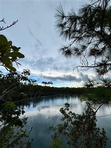Blue Hole National Pond &eacute; acess&iacute;vel por trilha curta