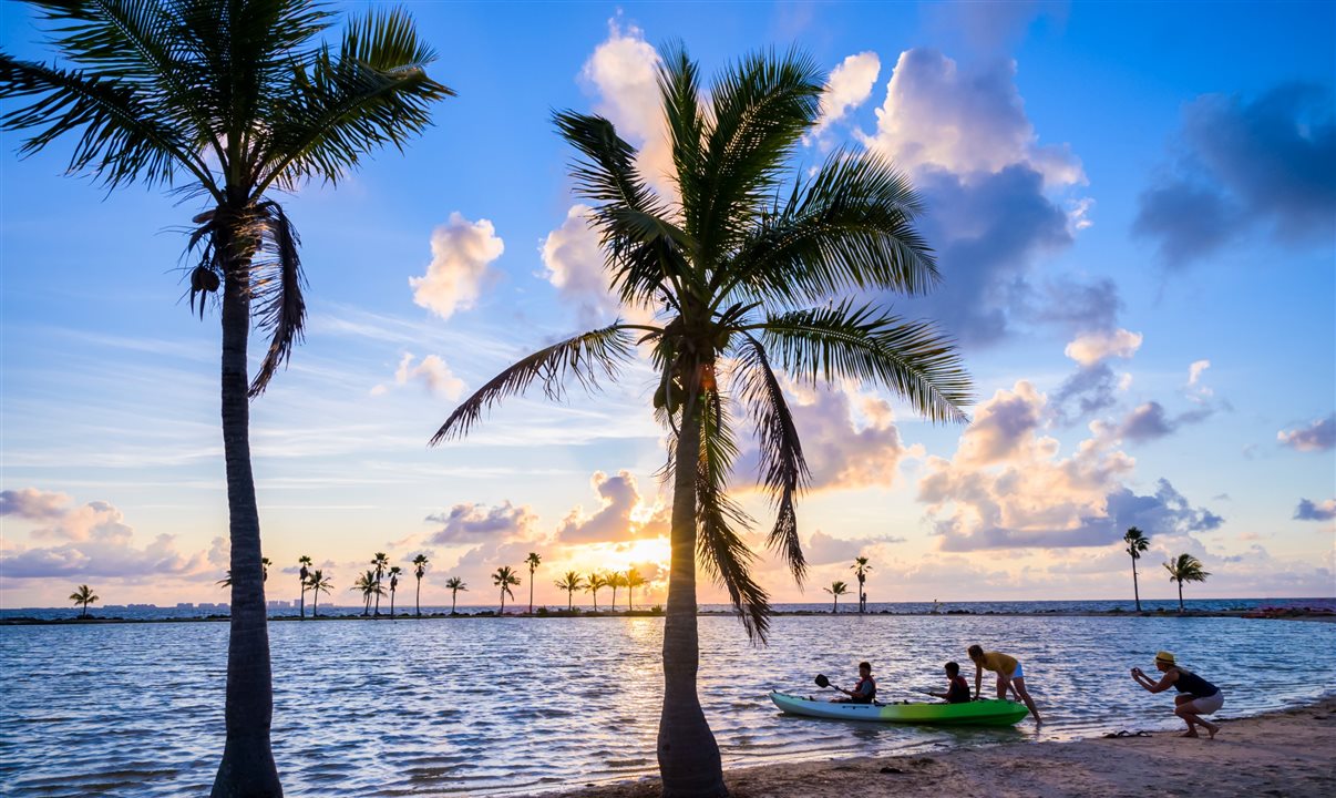 Matheson Hammock Park