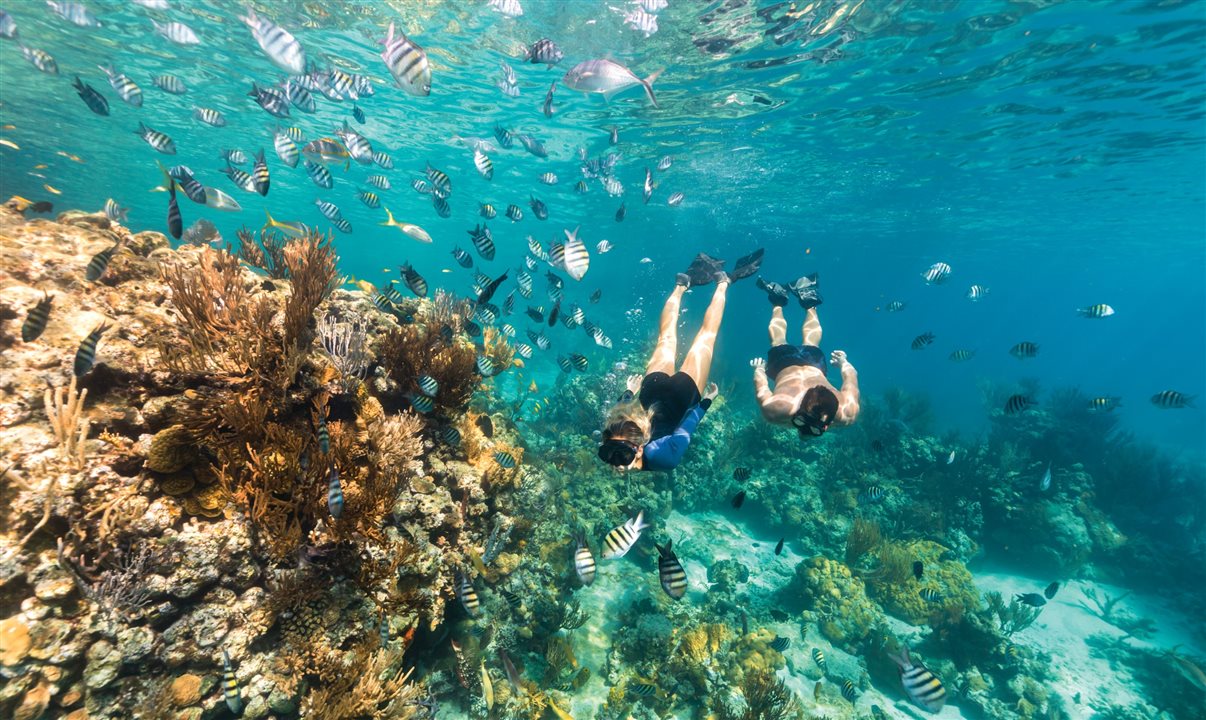 Números de 2025 ficaram 70% acima dos níveis pré-pandemia de 2019