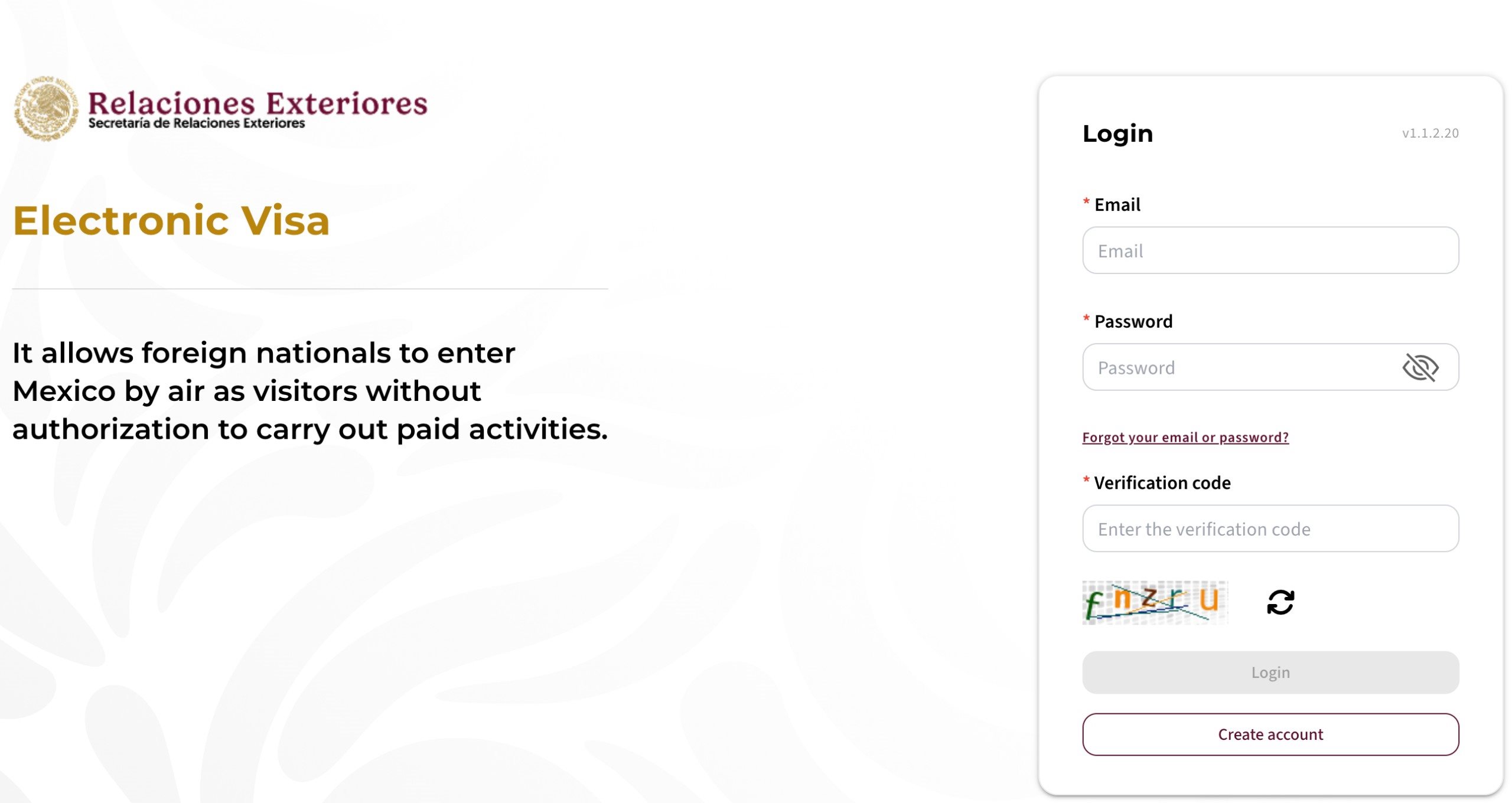 Novo portal para brasileiros emitirem o visto eletrônico