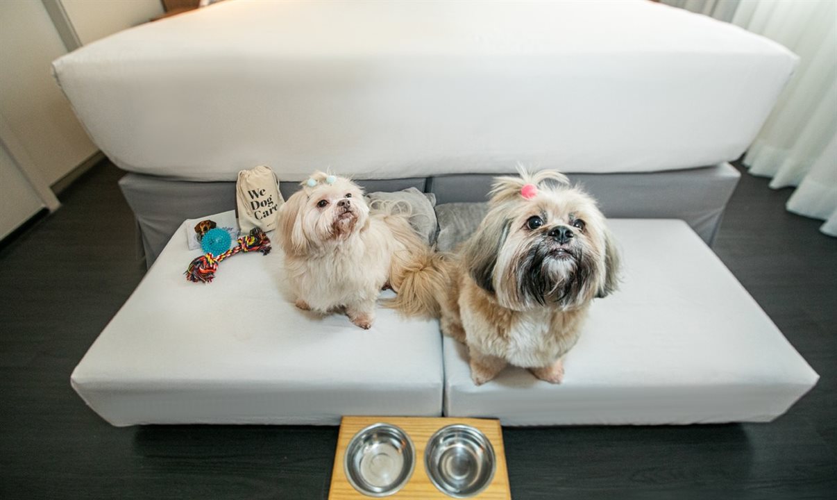 Animais não podem circular no spa e área do buffet