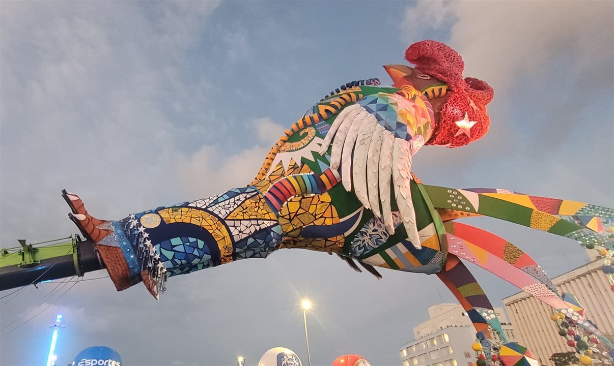 Galo momentos antes da subida