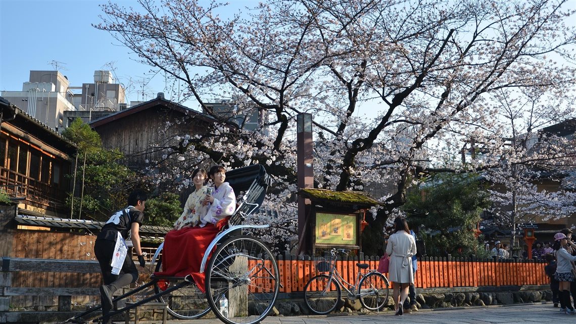 Quatro Esta&ccedil;&otilde;es Sakura