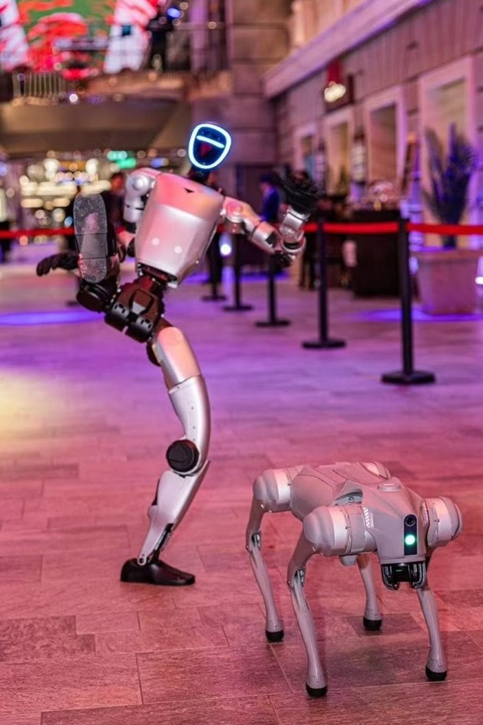 Robôs a bordo do MSC Bellissima