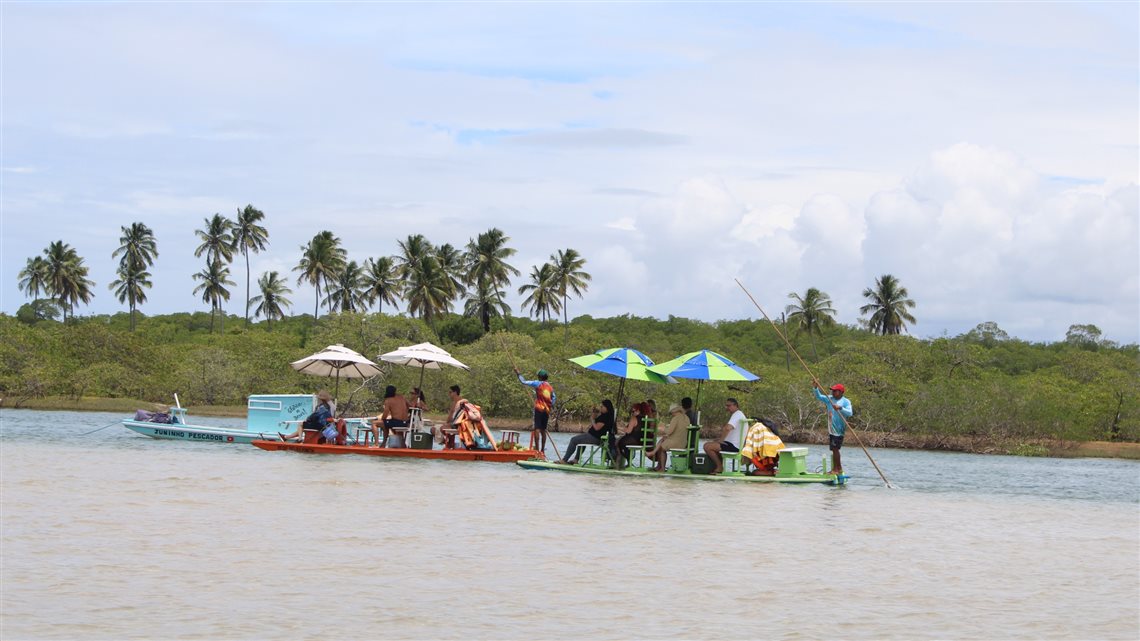 Jangadas nos manguezais de Maraca&iacute;pe (PE)