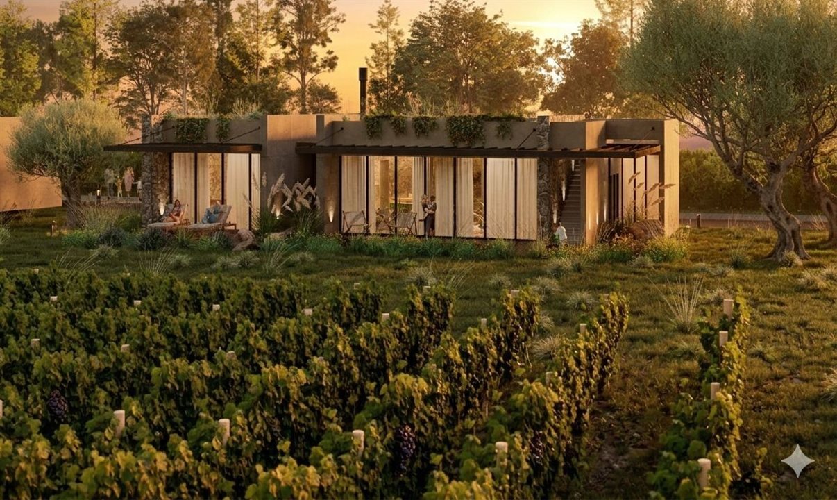 Experiência do hóspede é construída sobre o ambiente natural e a identidade vitivinícola da região