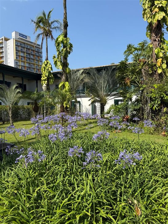 Jardins bem cuidados e inspiradores para o relaxamento