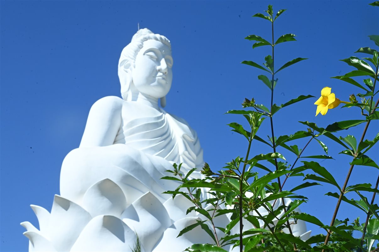 ?O Grande Buda de Ibiraçu