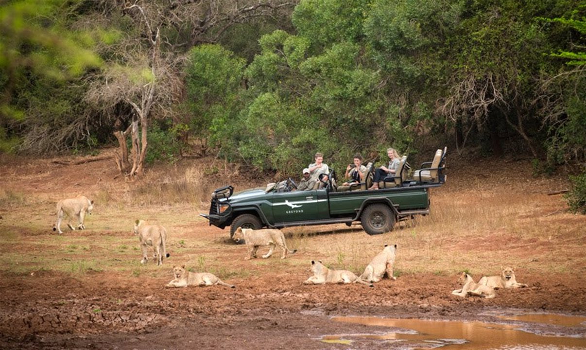 Phinda Game Drive Experience, da &Beyond