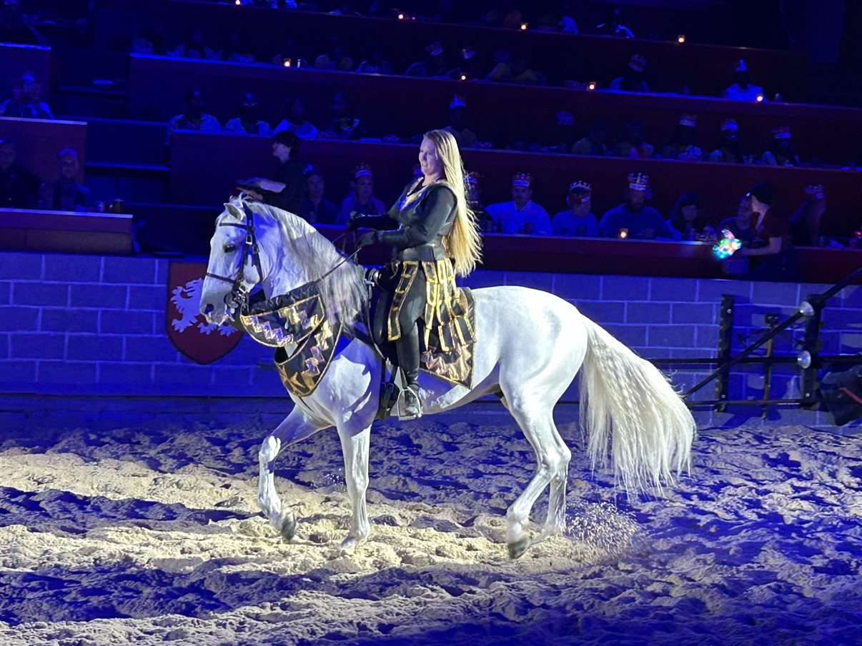 Medieval Times Dinner & Tournament