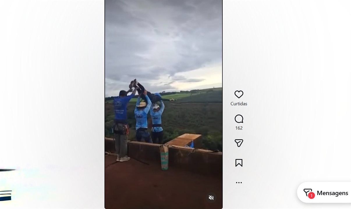 Durante uma atividade de rope jump realizada na Ponte do Esqueleto, em Limeira (SP), uma mulher foi vítima fatal. Imagens circulam pela internet com o momento do acidente