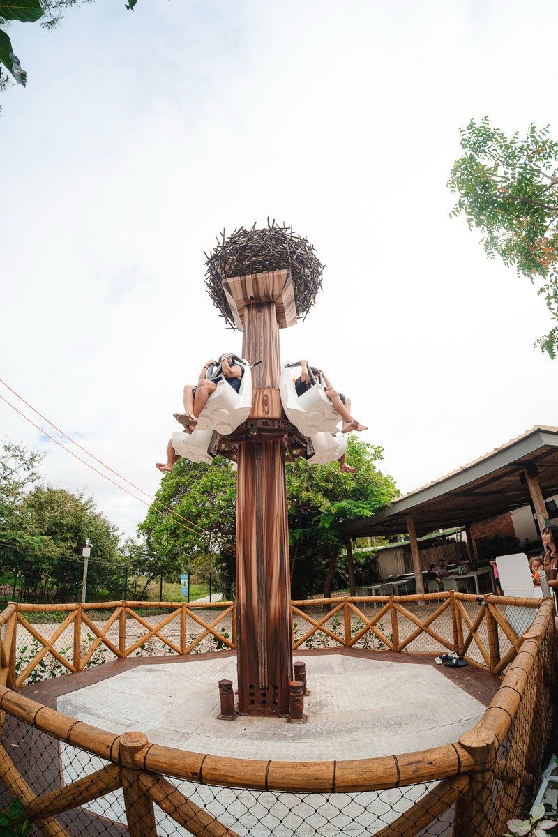 Ninho do Explorador
