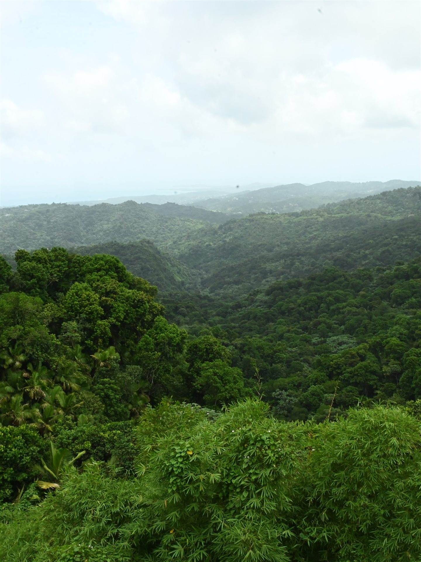 El Yunque