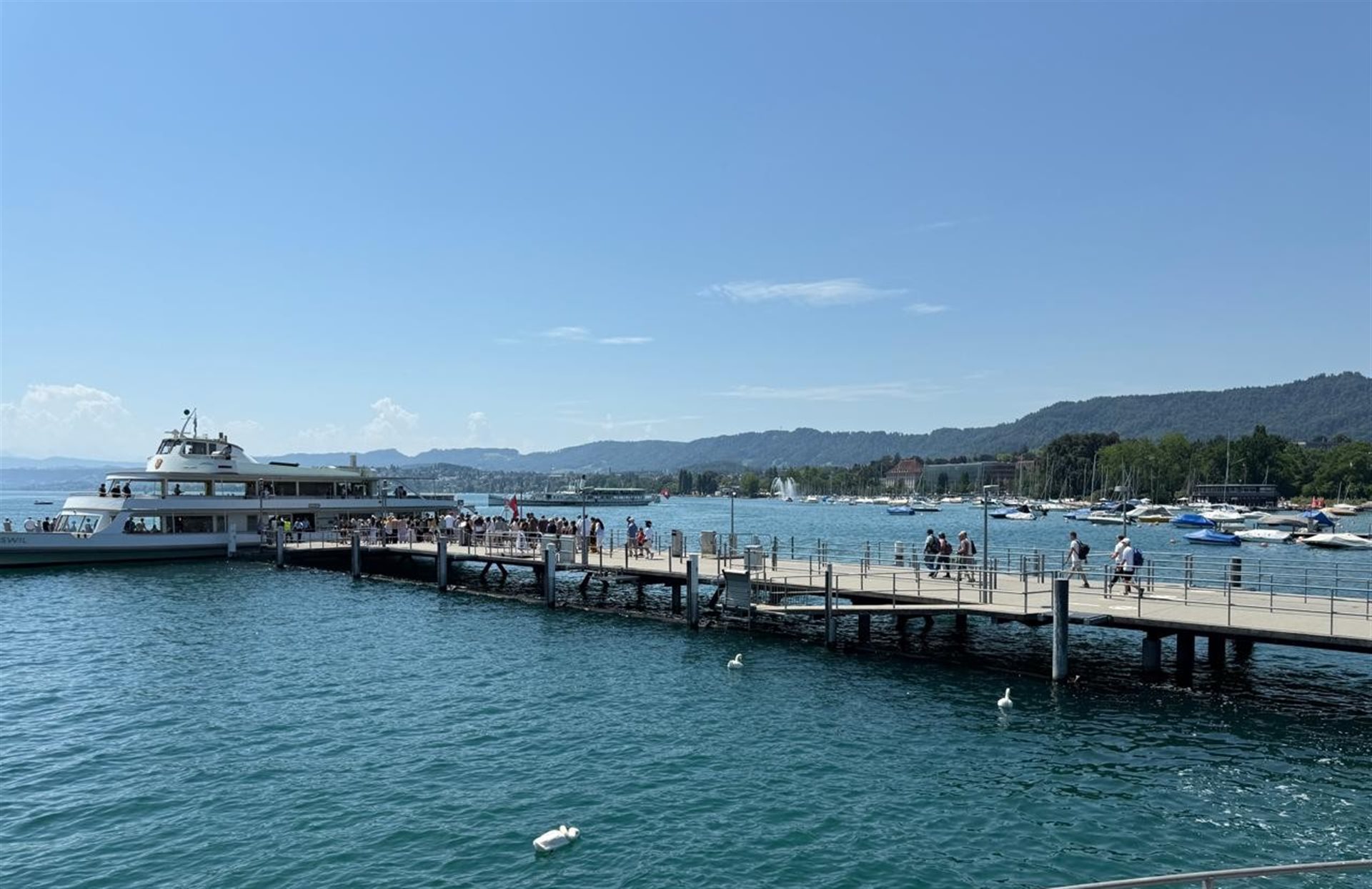 Passeios de barco em Zurique