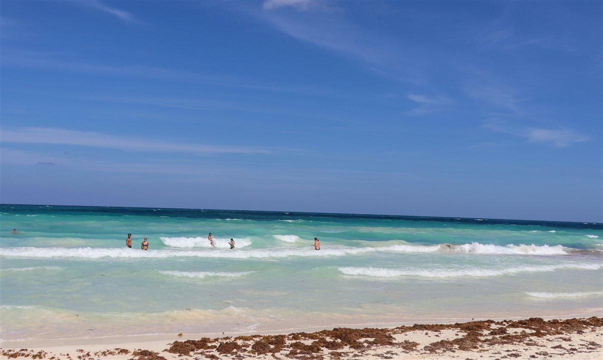 Plano do governo prevê ações em um trecho de 40 a 50 quilômetros do litoral, com captura da alga ainda no mar, instalação de barreiras de contenção e ampliação da coleta nas praias