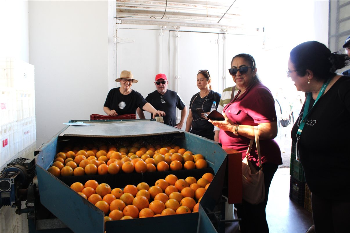 Produ&ccedil;&atilde;o de suco de laranja na f&aacute;brica da Nutifruti