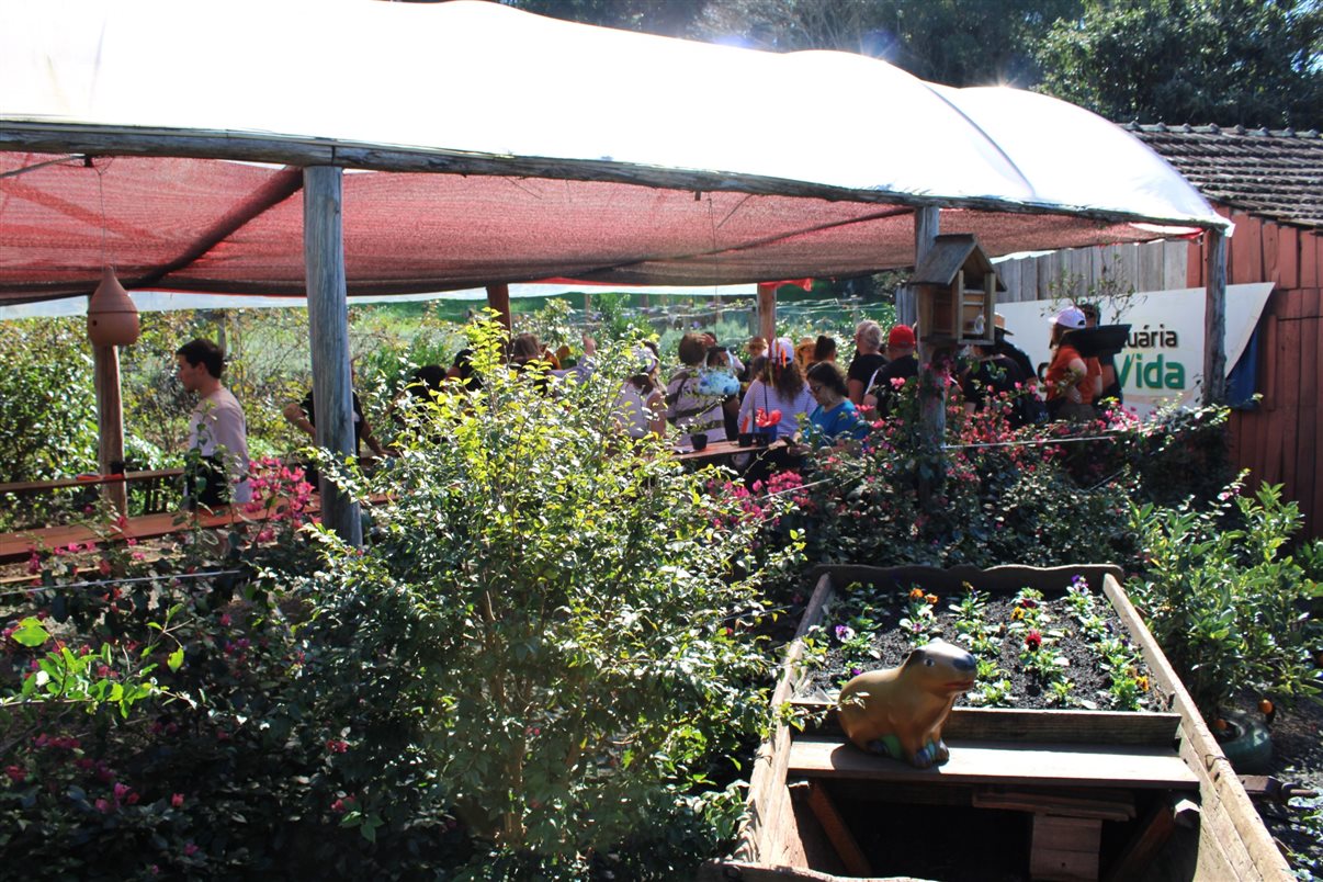 Trade durante imers&atilde;o no Viveiro Agrovida