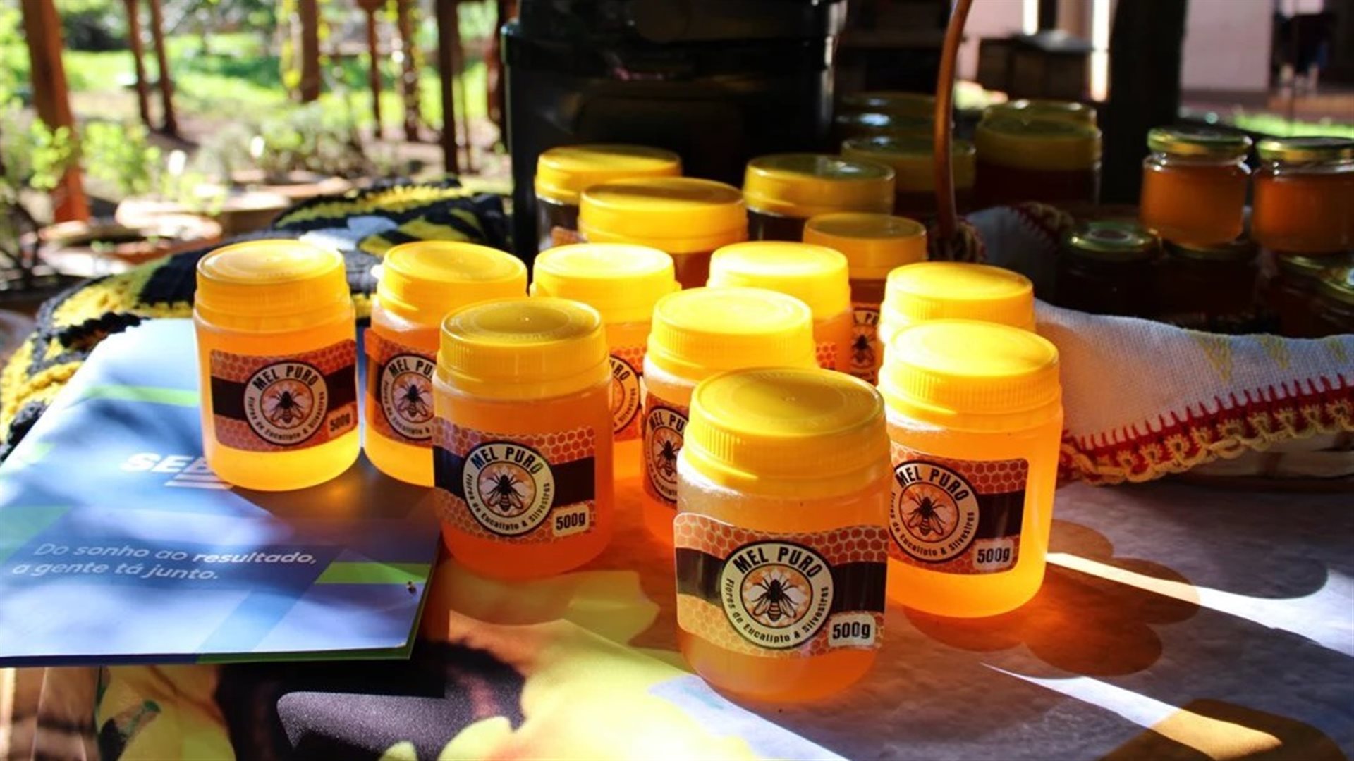 Mel produzido no Viveiro Agrovida