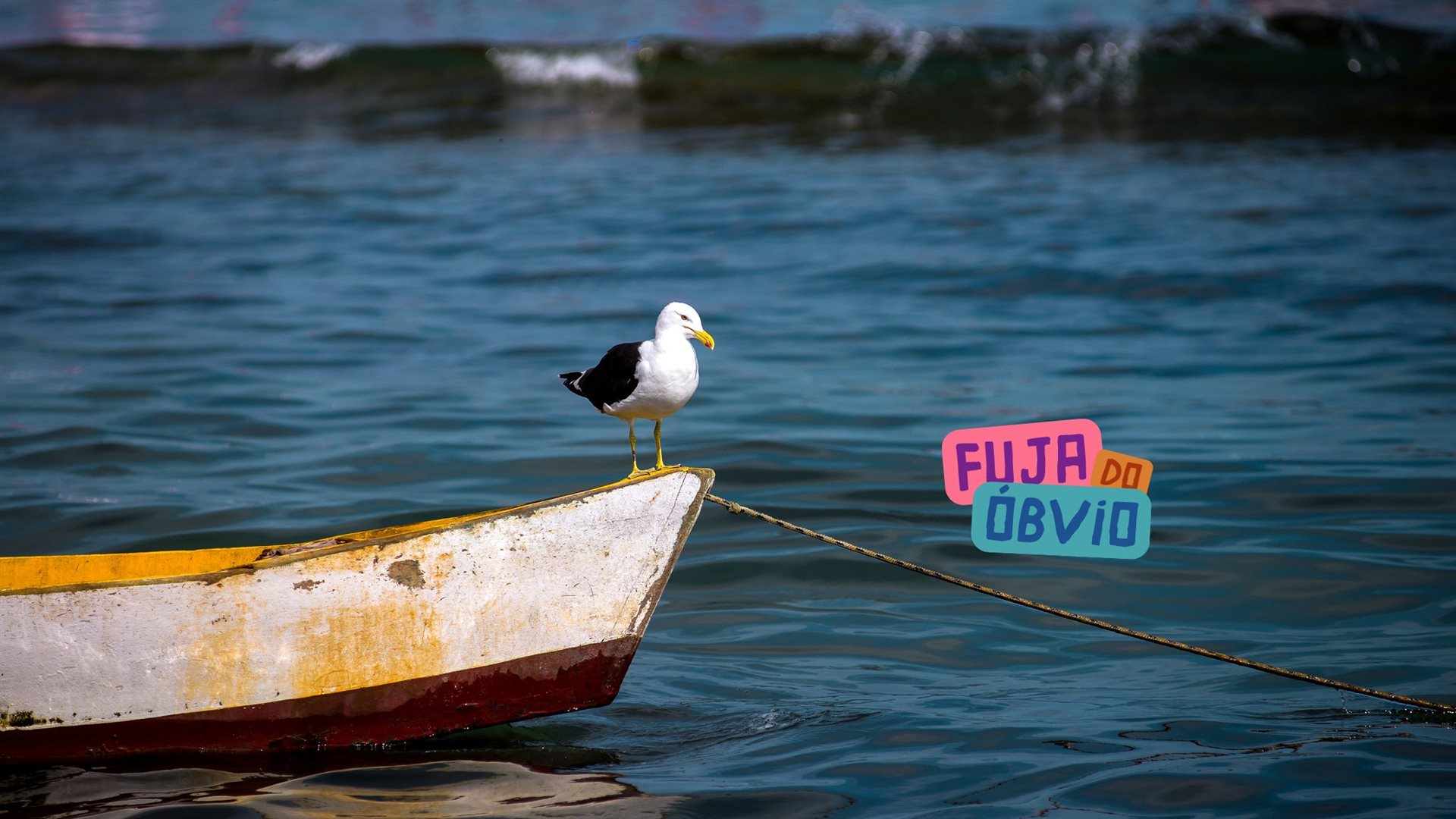 Portugueses na Ilha do Ferro