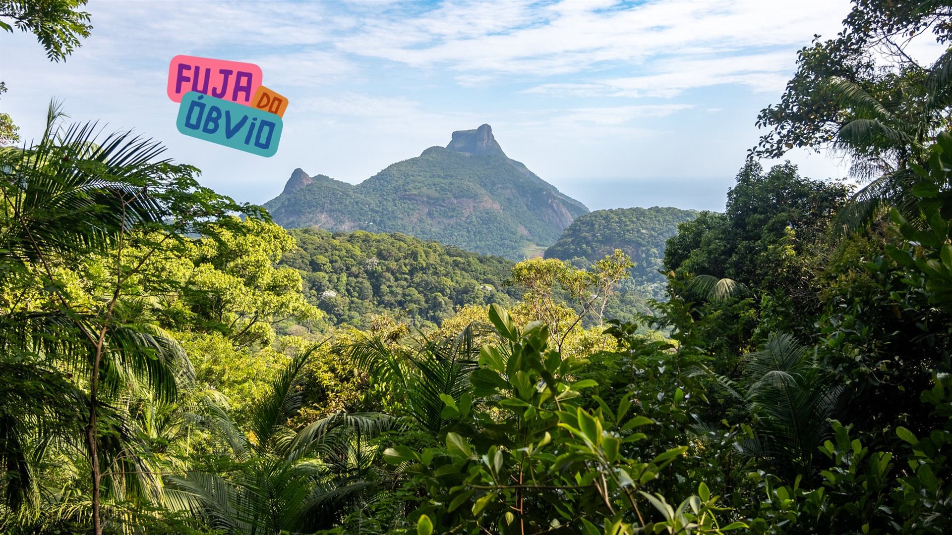 Parque Nacional da Tijuca ganhou, recentemente, a Trilha Paineiras&ndash;Corcovado