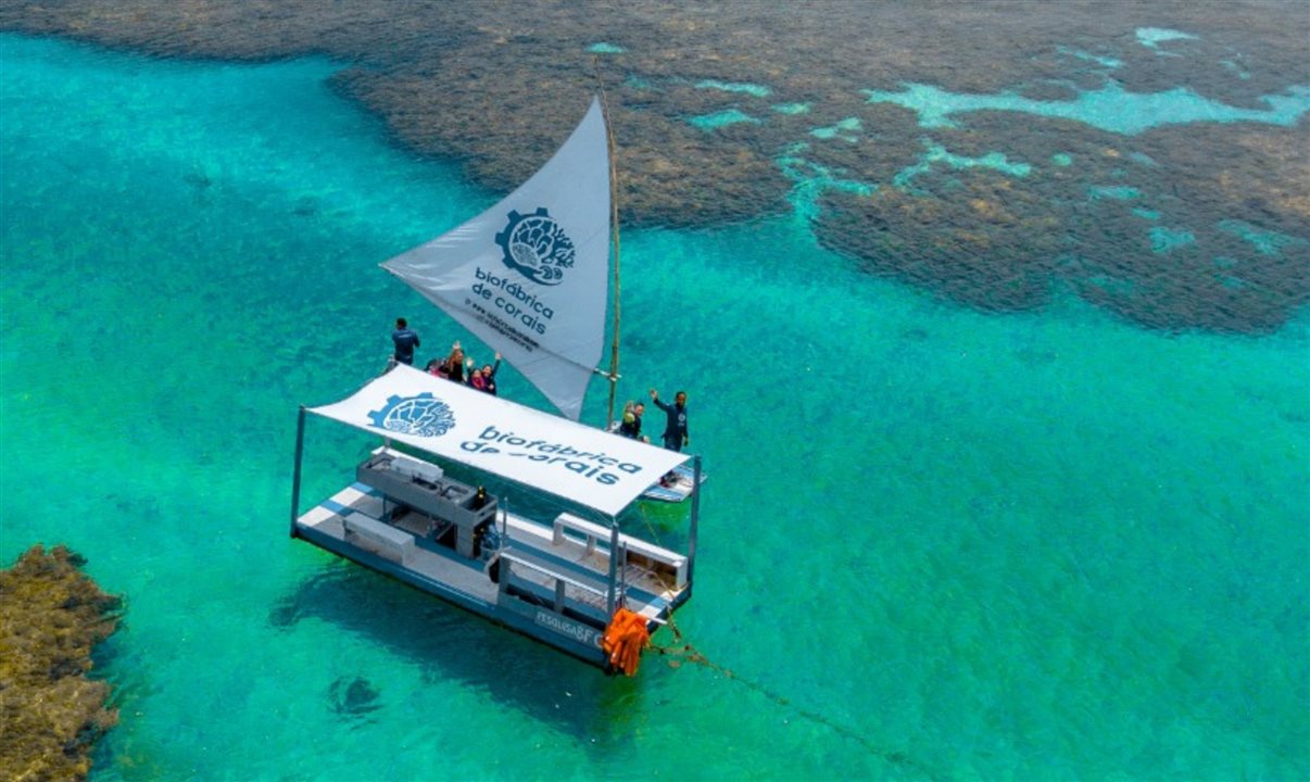Porto de Galinhas
