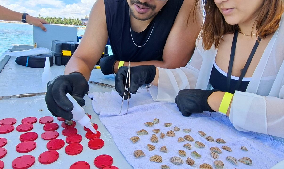 Biofábrica de Corais