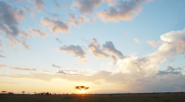 Na home, Erik Sadao, da The Marketing Collection; acima, um belo por do sol no final de tarde Na home, Erik Sadao, da The Marketing Collection; acima, um belo por do sol no final de tarde