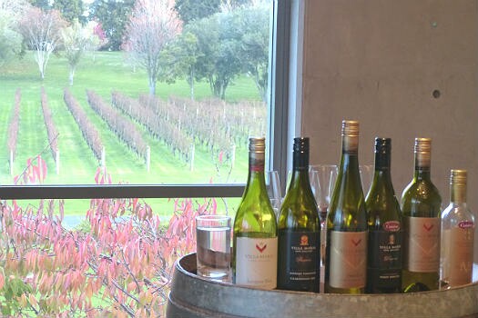 Villa Maria, em Auckland, é uma das três maiores vinícolas do país