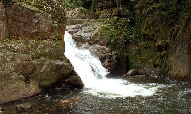 Cachoeiras são atrativos nos parques estaduais paulistas (foto: divulgação/Fundação Florestal)