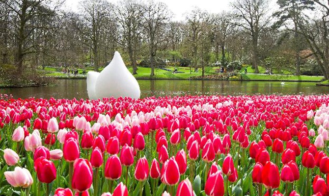 Localizado em Lisse, o parque fica a pouco mais de 30 quilômetros de distância de Amsterdã (Divulgação)